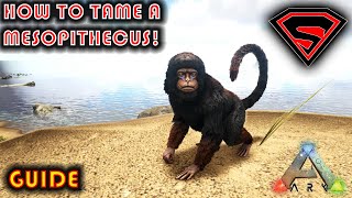 ARK HOW TO TAME A MESOPITHECUS  EVERYTHING YOU NEED TO KNOW ABOUT TAMING A MESOPITHECUS [upl. by Issi378]