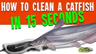 How To Clean A Catfish In 15 Seconds [upl. by Elbys]