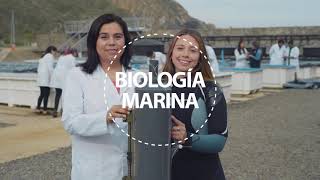 Biología Marina UNAB 2022 [upl. by Yltneb870]