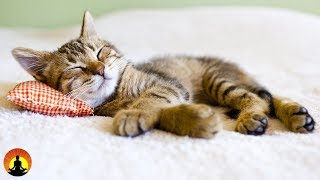 8 Hour Super Sleep Music Relaxing Music Meditation Music Sleeping Music Relaxation Music ☯2479 [upl. by Karlan]