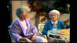 The Golden Girls  The Best of Season 1  pt 2 [upl. by Hannahs188]