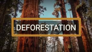 Deforestation Presentation  Causes Effects and Solutions [upl. by Llehsor]