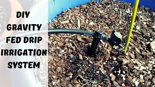 DIY Drip Irrigation  Highly Efficient Garden Irrigation System  Garden Irrigation [upl. by Keyes]