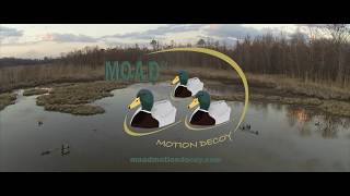 The MOAD® Motion Decoy [upl. by Berga]