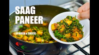 Saag Paneer Recipe by Chilli Chef Spinach amp Cheese [upl. by Lledraw]