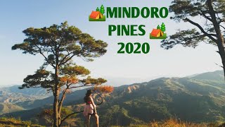 MINDORO PINES 2020 l SOBRANG GANDA [upl. by Chard]