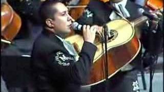 MARIACHI VARGAS DE TECALITLAN EL PASTOR [upl. by Ricard557]