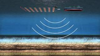 Offshore Seismic Surveying [upl. by Auqinaj64]