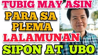 Tubig May Asin Para sa Plema Lalamunan Sipon at Ubo  by Doc Willie Ong 913 [upl. by Wedurn]