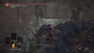 Dark souls 3 getting to the abyss watchers old wolf of farron [upl. by Notlok390]