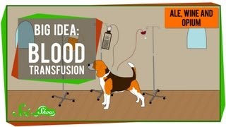 Big Idea Blood Transfusions [upl. by Salkcin]