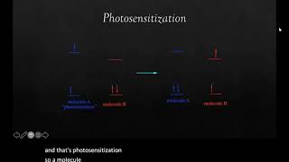 Photosensitization [upl. by Mayes240]