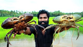 5 Kg BIG SIZE CRAB ROAST MAKING  COOKING SKILL M4 TECH [upl. by Derrej]