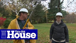 How to Prune a Crabapple Tree  This Old House [upl. by Signe]