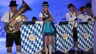 Bavarian quotoompahquot Band [upl. by Nosned]