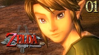 Zelda Twilight Princess HD 01  RETOUR AU CRÉPUSCULE [upl. by Ymirej299]