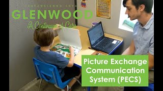 Introduction to PECS Picture Exchange Communication System [upl. by Nafets]