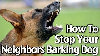 How To Stop Your Neighbor’s Dog From Barking  Short Version [upl. by Schwinn68]