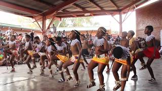 Amazing🥰 South african zulu Kids can sing and dance 💃 traditional songs [upl. by Yak784]