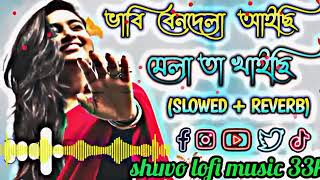 ভাবি বেনদেলা আইছি। মেলােতা খাইছিLofiSong Slowedreverb MusicBaisab [upl. by Ynnad]