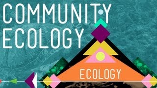 Community Ecology Feel the Love  Crash Course Ecology 4 [upl. by Orfinger486]