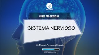 SISTEMA NERVIOSO  CURSO PREMEDICINA [upl. by Marney]