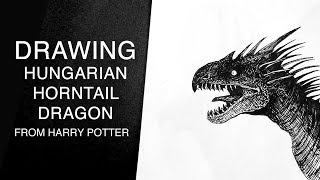 Drawing Hungarian Horntail Dragon Harry Potter [upl. by Nireves]