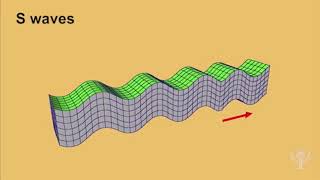 Seismic waves earthquake [upl. by Ivon]