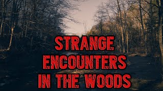 15 Strange Encounters in the Woods [upl. by Anala46]