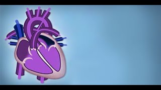 Fetal Circulation by L McCabe  OPENPediatrics [upl. by Ynohtnaed276]