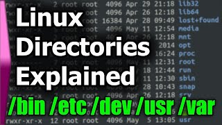 Linux File SystemStructure Explained [upl. by Floris]