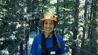 Ziptrek Whistler  Bear Tour [upl. by Jaddo906]