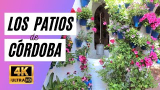 Los Patios de Córdoba  4K [upl. by Rehpinej957]