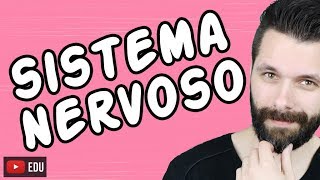 SISTEMA NERVOSO  FISIOLOGIA  Aula  Biologia com Samuel Cunha [upl. by Akinak342]