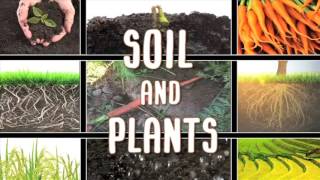 All About soil [upl. by Odelet]