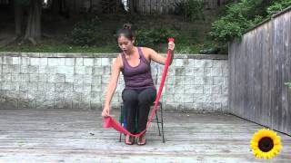 Seated Theraband Exercise for Seniors [upl. by Parry]