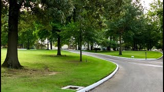 REVEALED Photo of the Ghost of Elvis Presley amp Gladys in the Trees at Graceland July 2019 [upl. by Cordle]