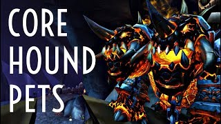 WoW Guide  Core Hound Pets  Hunters [upl. by Artiek208]