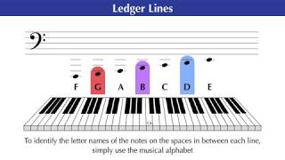 LEDGER LINES and HOW TO read them [upl. by Rosemari]