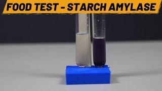 Food Test  Starch Amylase  ThinkTac [upl. by Joya]