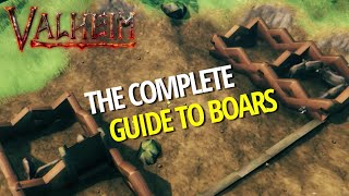 Complete Guide To Boars Breeding Production Fire Safety  Valheim [upl. by Illehs554]