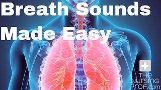 Simple Nursing Breath Sounds Made Easy [upl. by Lupe214]