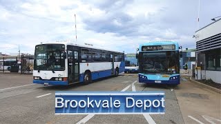 Sydney Bus Vlog 30 Brookvale Bus Depot Timelapse [upl. by Nylirahs]