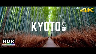 Kyoto Japan  219 Ultrawide 4K HDR  Arashiyama Bamboo Forest  Cinematic Short [upl. by Rowen]