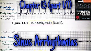 Sinus tachycardia and bradycardia  chapter 13 part 17  Guyton and Hall text book of physiology [upl. by Adriell]