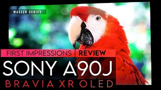 Sony A90J Worth It In 2022  XR Bravia Master Series OLED TV Review [upl. by Ailekahs134]