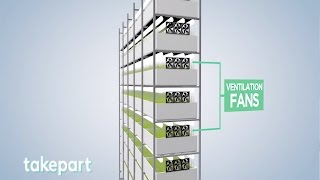 Vertical Farms  Design and Innovation  TakePart [upl. by Norehc]