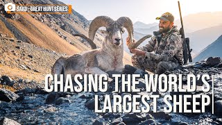 Marco Polo Sheep Hunt Chasing the worlds largest sheep [upl. by Aynekat]