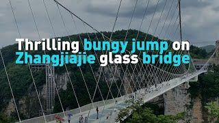 Thrilling bungee jump on Zhangjiajie glass bridge [upl. by Lansing]