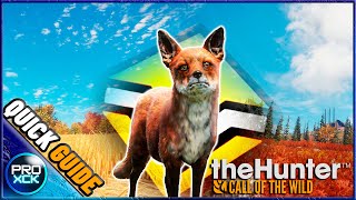 Red Fox Guide for Hirschfelden and Yukon Valley  theHunter Call of the Wild [upl. by Airat]